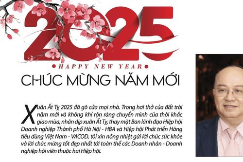 Chủ tịch VACOD-HBA gửi thư chúc mừng Xuân Ất Tỵ 2025