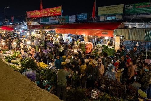Nhộn nhịp chợ hoa lớn nhất miền Bắc trước đêm giao thừa