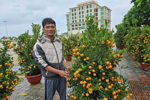 Lý Sơn ngày cuối năm