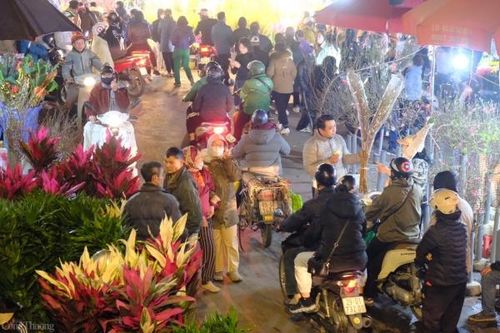 Hà Nội: Chợ hoa lớn bậc nhất đông nghịt đêm cuối năm