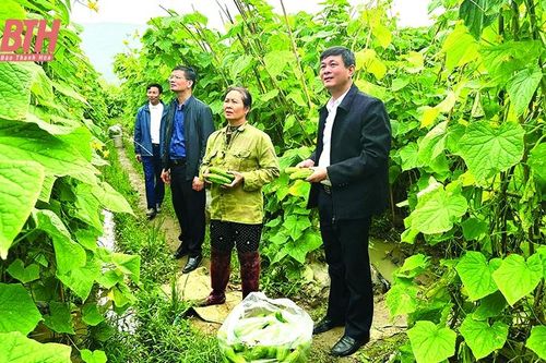 Hà Trung náo nức cùng xuân