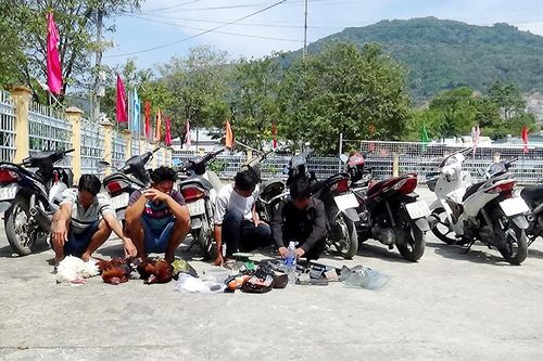 Tri Tôn triệt xóa tụ điểm đá gà liên quan 4 đối tượng