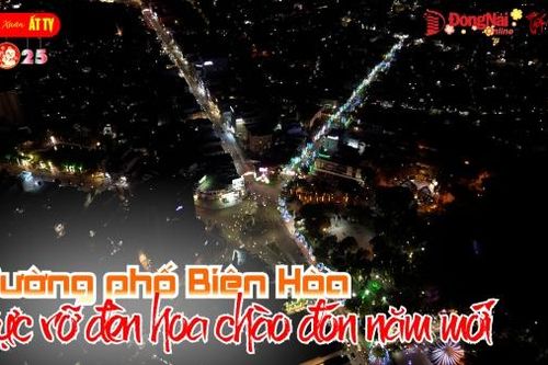 Đường phố Biên Hòa rực rỡ đèn hoa chào đón năm mới