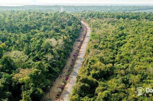 Tuần tra, bảo vệ rừng mùa Xuân