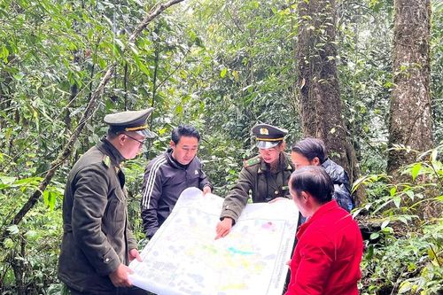 Ngày cuối năm của những người 'giữ rừng'