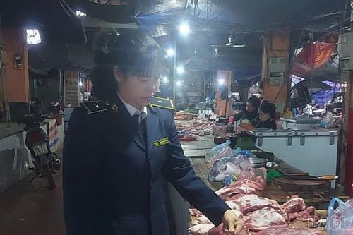 Thành phố Lào Cai: Các cơ sở tăng công suất giết mổ lợn dịp Tết