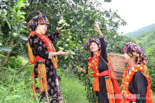 Vững tin đón chào Xuân mới