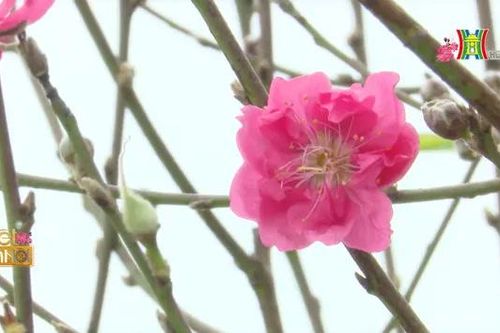 Trao yêu thương - Tết sum vầy