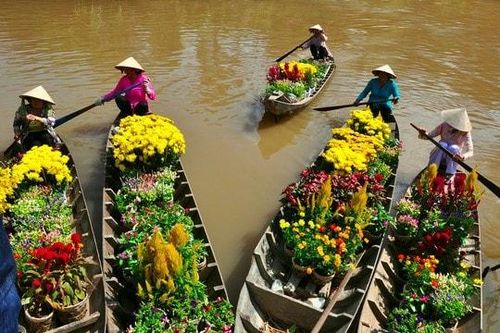 Lao xao gió Tết miền quê