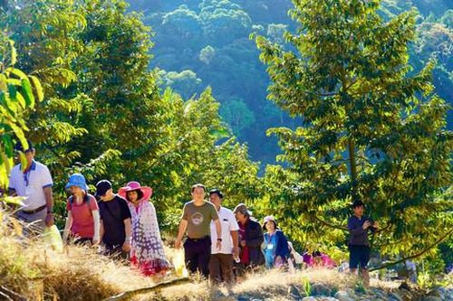 'Du lịch chữa lành' tại miền đất Đa Mi