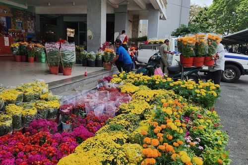 TP.HCM mua hoa tồn của tiểu thương tặng người dân chơi Tết
