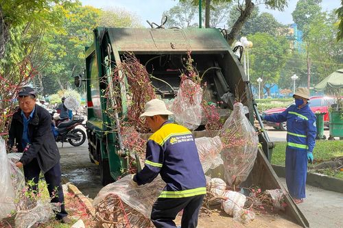 Bán rẻ hoa Tết để vui chung, sao nỡ vứt rác?