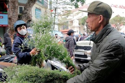 Chợ Tết phố cổ Hà Nội ngày cuối năm