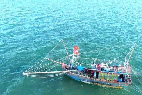 Ngư dân 'trúng đậm' những chuyến biển cuối năm