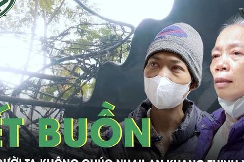 Tết ở xóm chạy thận giữa lòng Thủ đô