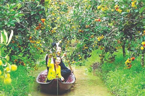Xốn xang Tết vườn