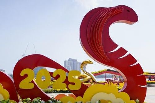 CHÀO ẤT TỴ 2025: NĂM CỦA TRÍ TUỆ VÀ ĐỔI MỚI!