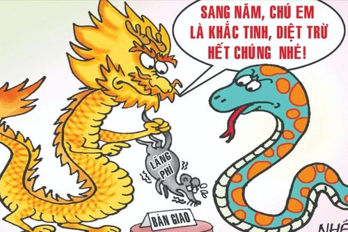 Rắn trong tâm thức người Việt