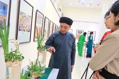Kỳ công thú chơi hoa Thủy tiên ngày Tết của người Hải Phòng