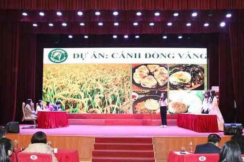 Thêm yêu đất Cảng qua nội dung Giáo dục địa phương