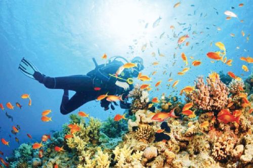 Ứng xử hài hòa với biển