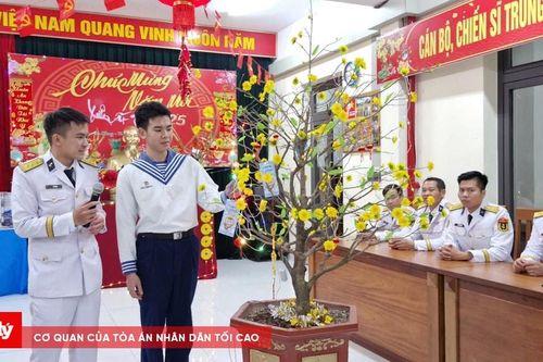 Vùng 3 Hải quân sôi nổi các hoạt động đón năm mới