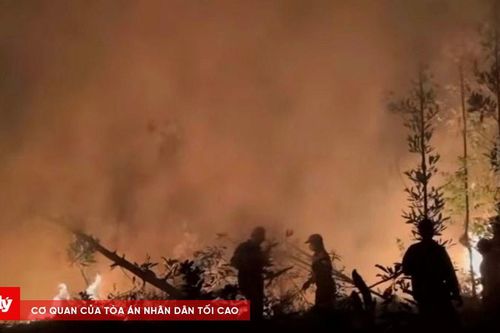 Hải Phòng: Cháy lớn tại 2 khu rừng vào đêm giao thừa