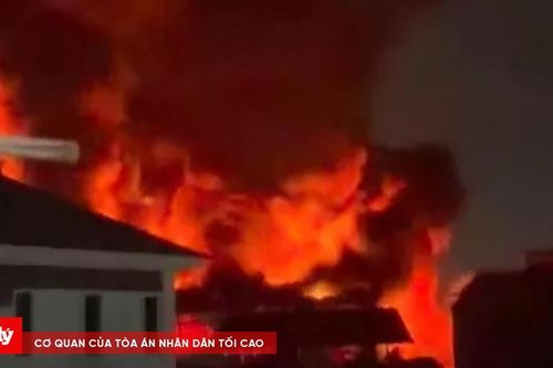 Thanh Hóa: Cháy lớn tại công ty giày trong đêm giao thừa