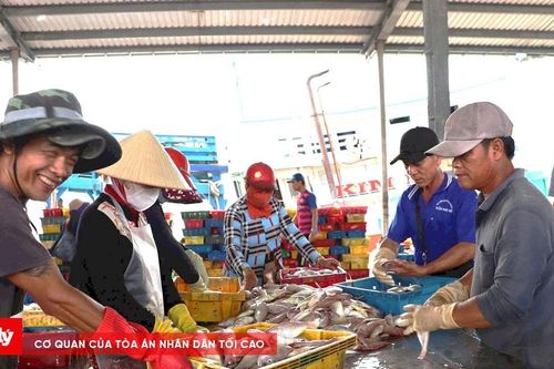 Ngư dân phấn khởi trong chuyến đi biển đầu năm bội thu