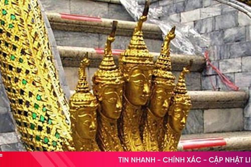 Năm Tỵ nói chuyện rắn