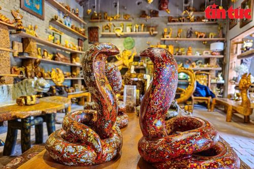 Năm con rắn và những điều thú vị