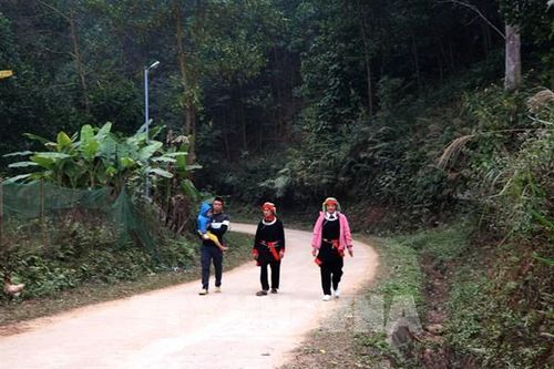 Xuân về Thài Khao