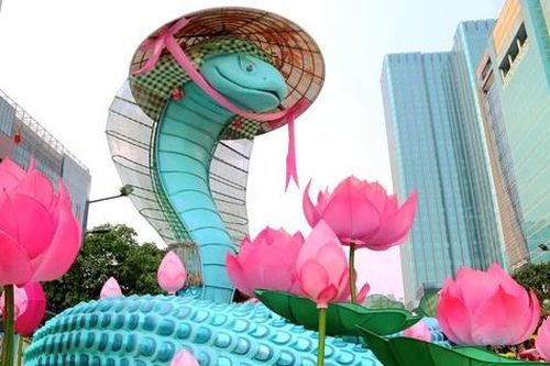 Rắn - biểu tượng của sức mạnh mềm và sự quyến rũ