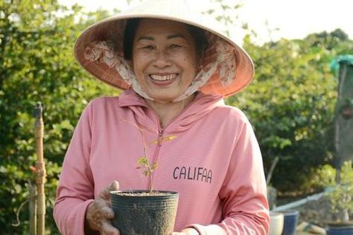 Sắc xuân ở làng mai tỷ phú