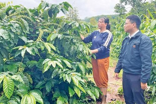 Phát huy nội lực xây dựng Chư Prông ngày càng giàu đẹp