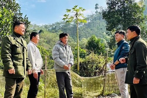 Người Dao giữ rừng