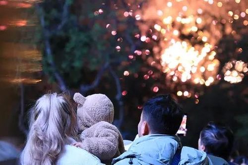 Người dân Thủ đô hân hoàn chào đón năm mới