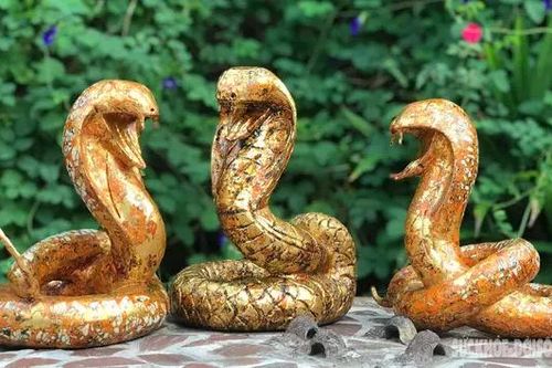 Năm tỵ nói chuyện rắn