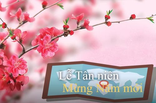 Tết 2025: Người Công giáo Việt Nam đón Tết thế nào?
