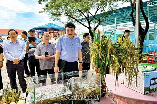 Tự tin bước vào năm mới