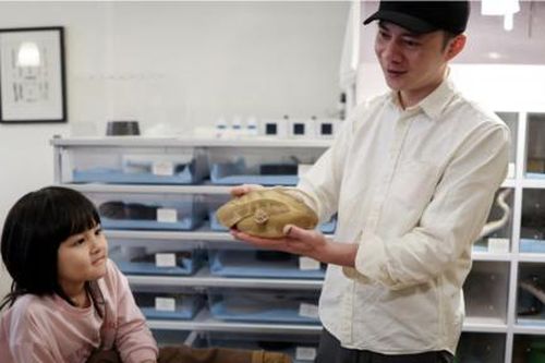 Uống cà phê với… rắn trở thành cách kinh doanh 'độc lạ' ở Đài Loan