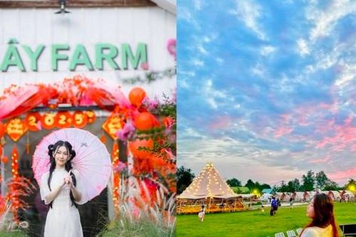 Những địa điểm dành cho mọi thành viên trong gia đình vui chơi Tết Ất Tỵ