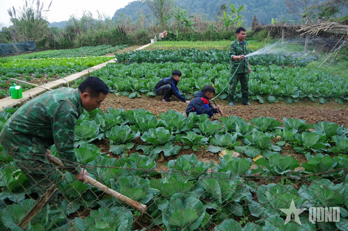 Tết của con nuôi đồn biên phòng