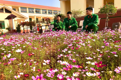 Xuân mới đang về ở Trung đoàn 165