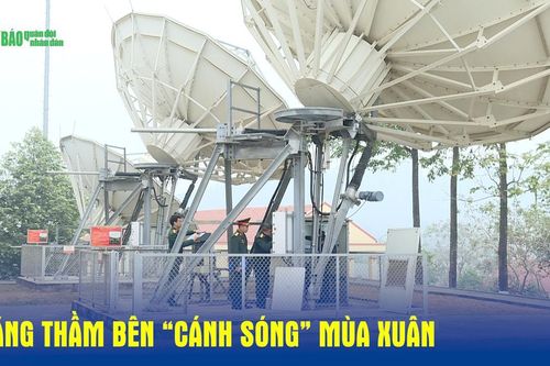 Lặng thầm bên 'cánh sóng' mùa Xuân