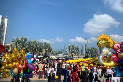 Người dân Đà Nẵng nô nức du xuân