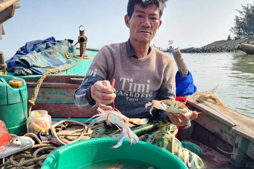 Chuyến 'xông biển' đầu năm, ngư dân mỏi tay gỡ ghẹ và cá tươi