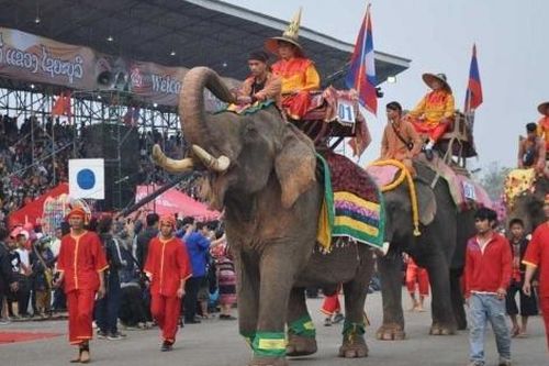 Tìm về cội nguồn văn hóa Lào tại Lễ hội Voi tỉnh Xayaboury 2025