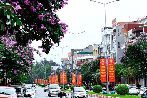 Thành phố của bóng mát
