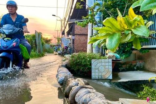 Triều cường khả năng gây ngập nhiều khu vực ở TPHCM trong ngày mùng 2 Tết